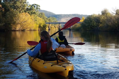 Paddle With The Platypus Twilight Kayak Adventure - Accommodation Perth 1