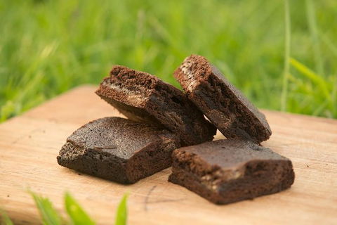 Paddle With The Platypus Twilight Kayak Adventure - Accommodation Perth 4