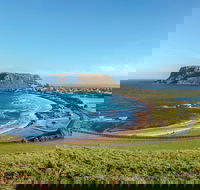 Cruise Ship Special from Burnie to Stanley and The Nut - Accommodation Perth