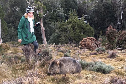 Shore Excursion - Cradle Mountain Day Tour From Burnie - Perth Resorts 1