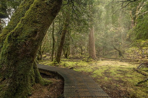 Shore Excursion - Cradle Mountain Day Tour From Burnie - Perth Resorts 3