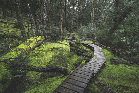 Shore Excursion - Cradle Mountain Day Tour From Burnie - Perth Resorts 2