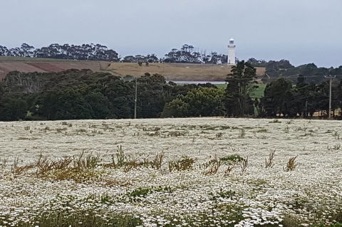 Cruise Ship Excursion: NW Tassie Coastal Explorer - Accommodation Perth 14