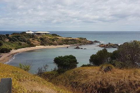 Cruise Ship Excursion: NW Tassie Coastal Explorer - Accommodation Perth 13