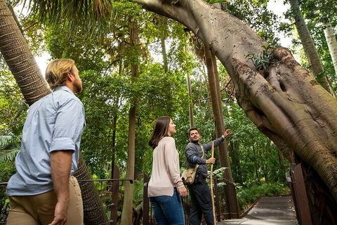 Aboriginal Heritage Walk - Royal Botanic Gardens Victoria, Melbourne Gardens - Accommodation Perth 1