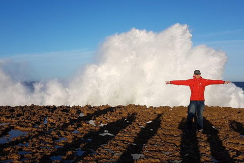 Ride Tours, 2 Day Great Ocean Road Experience - Accommodation Perth 1