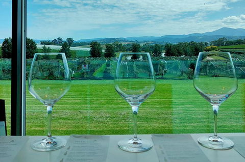 Yarra Valley Cellar Door And Gin Day - Accommodation Perth 2