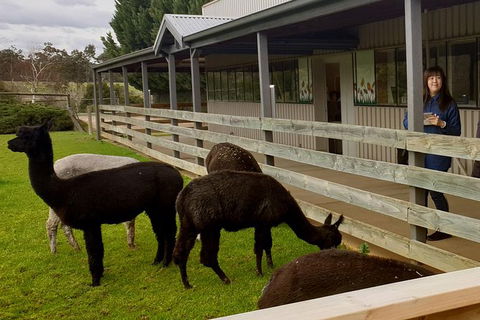Yarra Valley Farmgate Tours - Accommodation Perth 4
