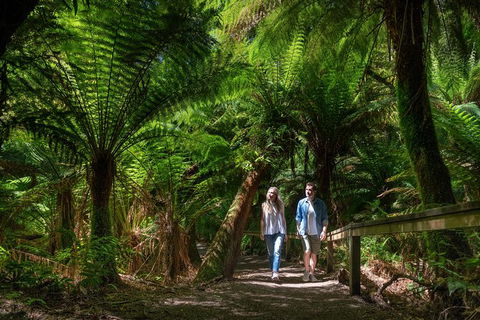The Great Ocean Road 1 Day Private Sunset Tour - Accommodation Perth 1
