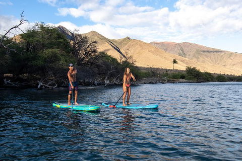 Stand Up Paddle Boarding Hire - Accommodation Perth 2