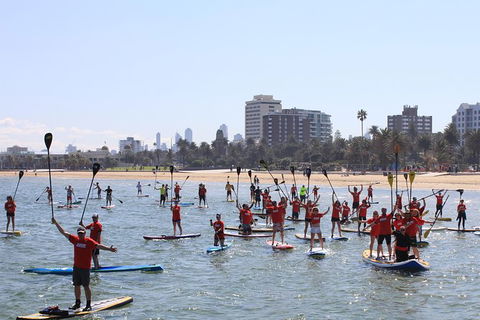 Stand Up Paddle Boarding Hire - Accommodation Perth 5