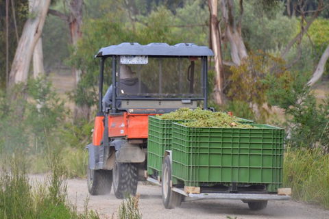 Yarra Valley Private Car Winery Tour And Chocolate.1-7 Passengers One Car Price - Accommodation Perth 7