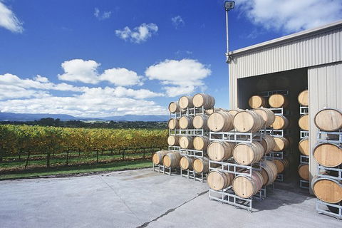 Yarra Valley Private Car Winery Tour And Chocolate.1-7 Passengers One Car Price - Accommodation Perth 0