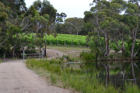 Yarra Valley Private Car Winery Tour And Chocolate.1-7 Passengers One Car Price - Accommodation Perth 8