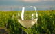 Yarra Valley Private Car Winery Tour And Chocolate.1-7 Passengers One Car Price - thumb 2