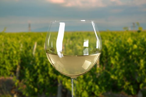 Yarra Valley Private Car Winery Tour And Chocolate.1-7 Passengers One Car Price - Accommodation Perth 2
