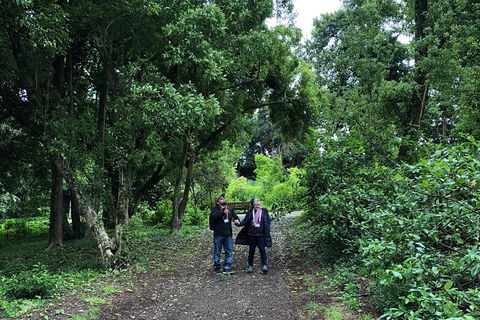 Alices Journeys Guided Walking Tours Of Daylesford - Accommodation Perth 5