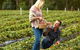 Melbourne Private Fruit Picking Tours (Up To 11 Persons) - thumb 4