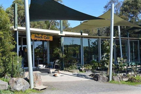 Melbourne Private Fruit Picking Tours (Up To 11 Persons) - Accommodation Perth 2
