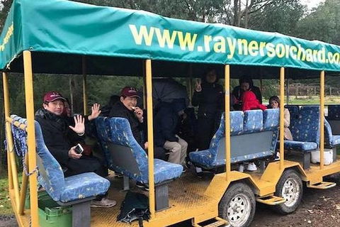 Melbourne Private Fruit Picking Tours (Up To 11 Persons) - Accommodation Perth 3