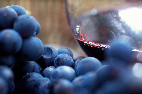 Mornington Peninsula 2-6 Guests Lunch Rare Hare Or Merricks General Wine Store - Accommodation Perth 7