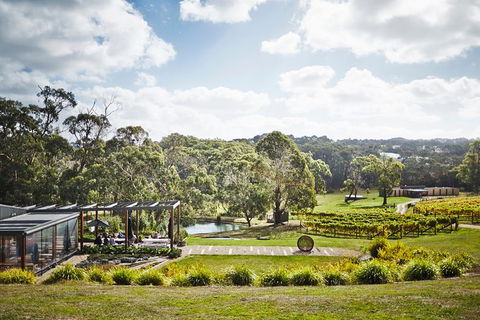 Mornington Peninsula 2-6 Guests Lunch Rare Hare Or Merricks General Wine Store - Accommodation Perth 3