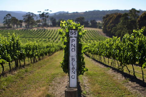 Yarra Valley 2-6 Guests Premium Food And Wine Inc Lunch At Dominique Portet - Accommodation Perth 3