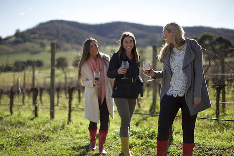 Yarra Valley 2-6 Guests Premium Food And Wine Inc Lunch At Dominique Portet - Accommodation Perth 6