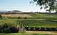 Yarra Valley 2-6 Guests Premium Food And Wine Inc Lunch At Dominique Portet - thumb 1