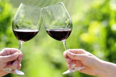 Yarra Valley Premium Tour Inc Lunch And Cheese And Wine Pairing At De Bortoli - Accommodation Perth 4