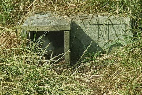Phillip Island Penguin And Wildlife Tour - Accommodation Perth 11