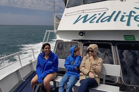 Phillip Island Penguin And Wildlife Tour - Accommodation Perth 15
