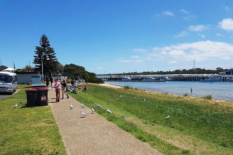 Phillip Island Penguin And Wildlife Tour - Accommodation Perth 25