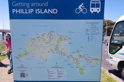 Phillip Island Penguin And Wildlife Tour - Accommodation Perth 28