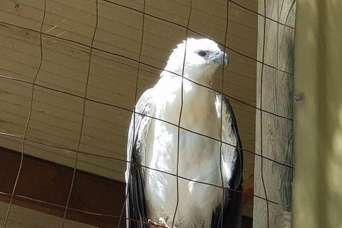 Phillip Island Penguin And Wildlife Tour - Accommodation Perth 21