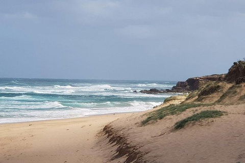 Phillip Island Penguin And Wildlife Tour - Accommodation Perth 10
