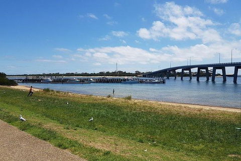 Phillip Island Penguin And Wildlife Tour - Accommodation Perth 24