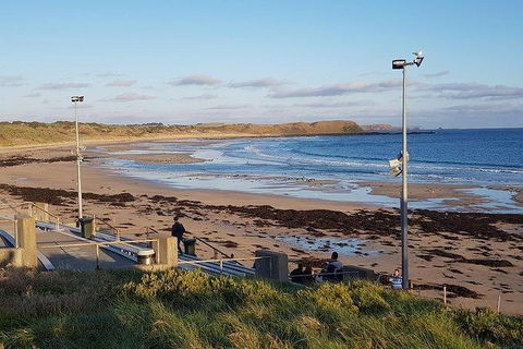Phillip Island Penguin And Wildlife Tour - Accommodation Perth 8