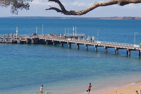 Phillip Island Penguin And Wildlife Tour - Accommodation Perth 2