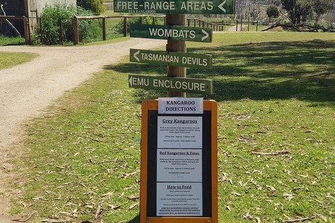 Phillip Island Penguin And Wildlife Tour - Accommodation Perth 4