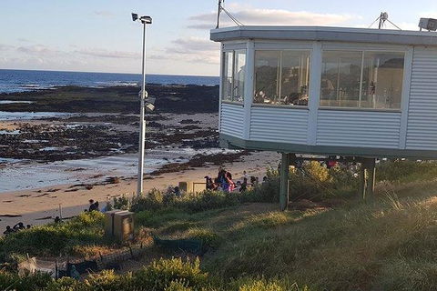 Phillip Island Penguin And Wildlife Tour - Accommodation Perth 33