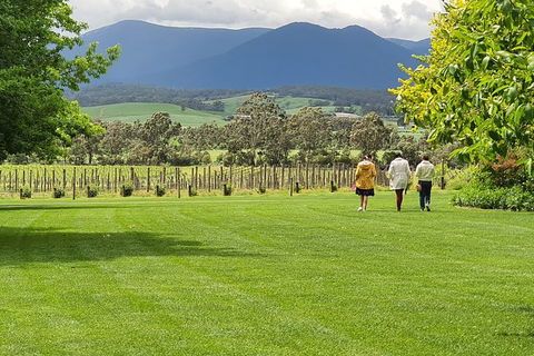 Yarra Valley Wine Tasting Day Tour From Melbourne - Accommodation Perth 6