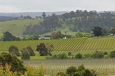 Yarra Valley Wine Tasting Day Tour From Melbourne - Accommodation Perth 0