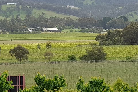 Yarra Valley Wineries And Rayners Orchard Tour From Melbourne - Accommodation Perth 2