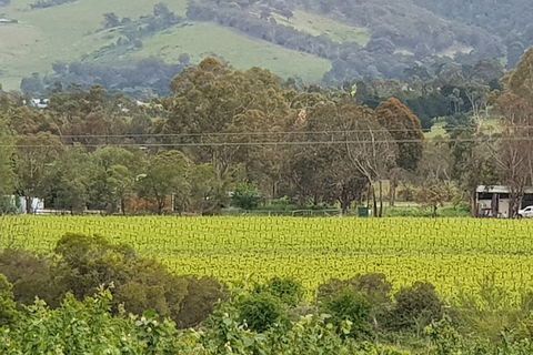 Day Tour Of Yarra Valley Puffing Billy And Rayners Orchard - Accommodation Perth 44