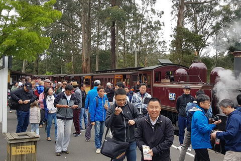 Day Tour Of Yarra Valley Puffing Billy And Rayners Orchard - Accommodation Perth 3