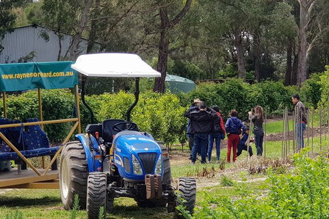 Day Tour Of Yarra Valley Puffing Billy And Rayners Orchard - Accommodation Perth 10