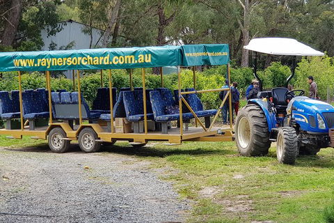 Day Tour Of Yarra Valley Puffing Billy And Rayners Orchard - Accommodation Perth 48