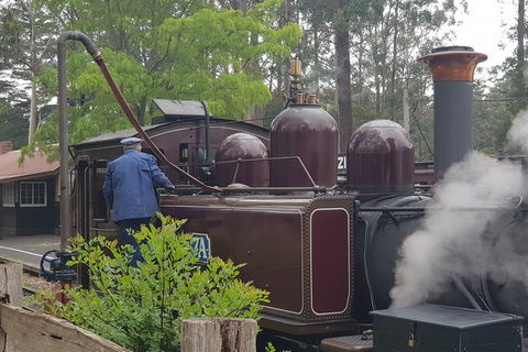 Day Tour Of Yarra Valley Puffing Billy And Rayners Orchard - Accommodation Perth 5