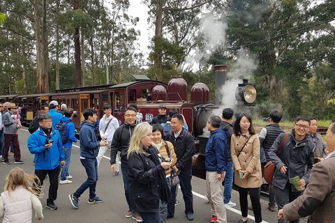 Day Tour Of Yarra Valley Puffing Billy And Rayners Orchard - Accommodation Perth 18